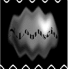 Immagine_lomuscio1.gif (714513 byte)
